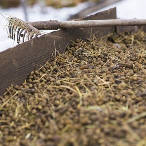 Козий навоз